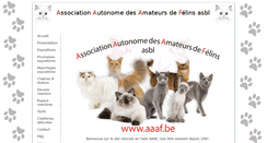 Desktop Screenshot of aaaf.be
