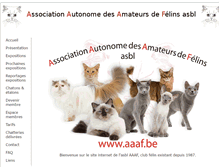 Tablet Screenshot of aaaf.be